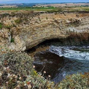 Meet your Posher, Toni